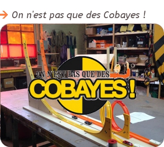 Cobayes